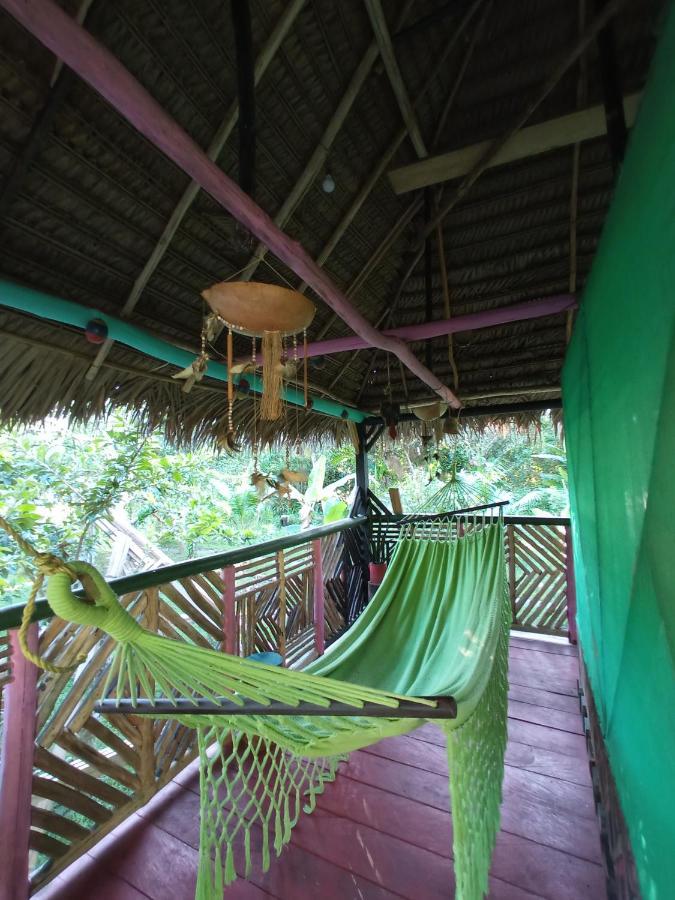 Hostal Buho Amazonas Tours Λετίσια Εξωτερικό φωτογραφία